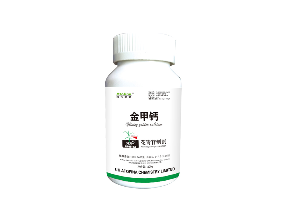 金甲钙200g