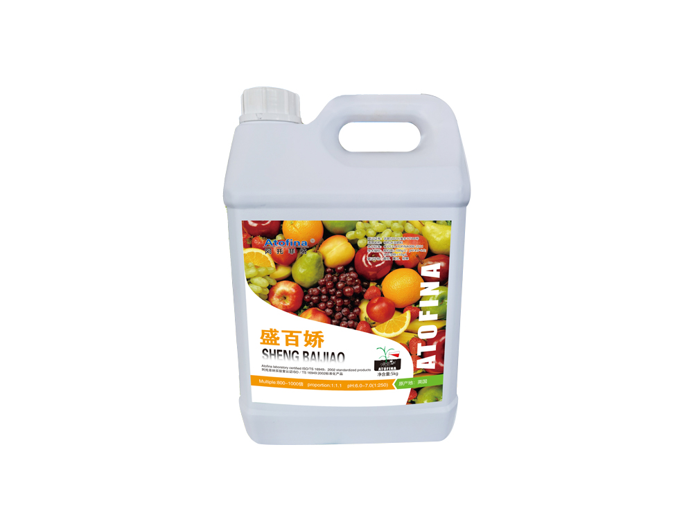盛百娇5kg