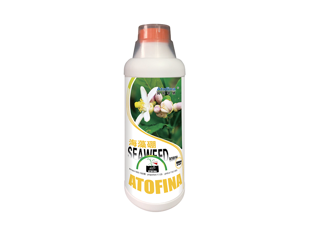 海藻硼1000ml