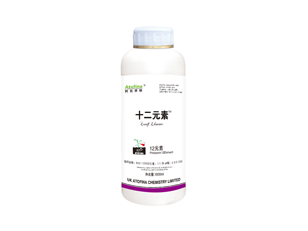 十二元素1000ml