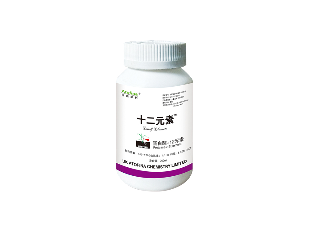 十二元素200ml
