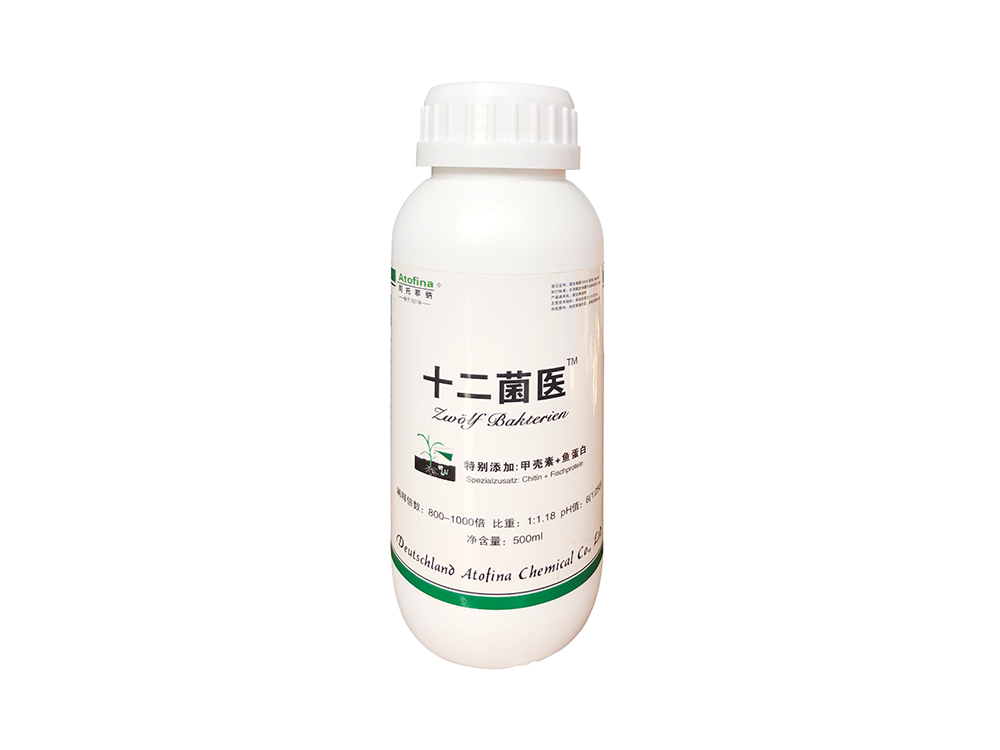 十二菌医500ml