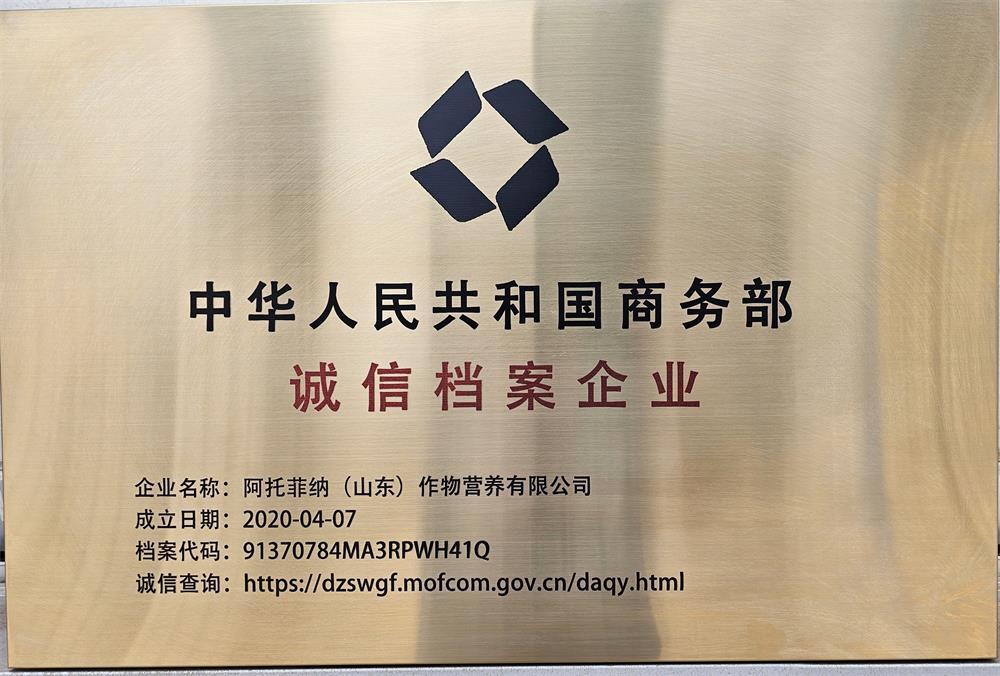 荣誉证书