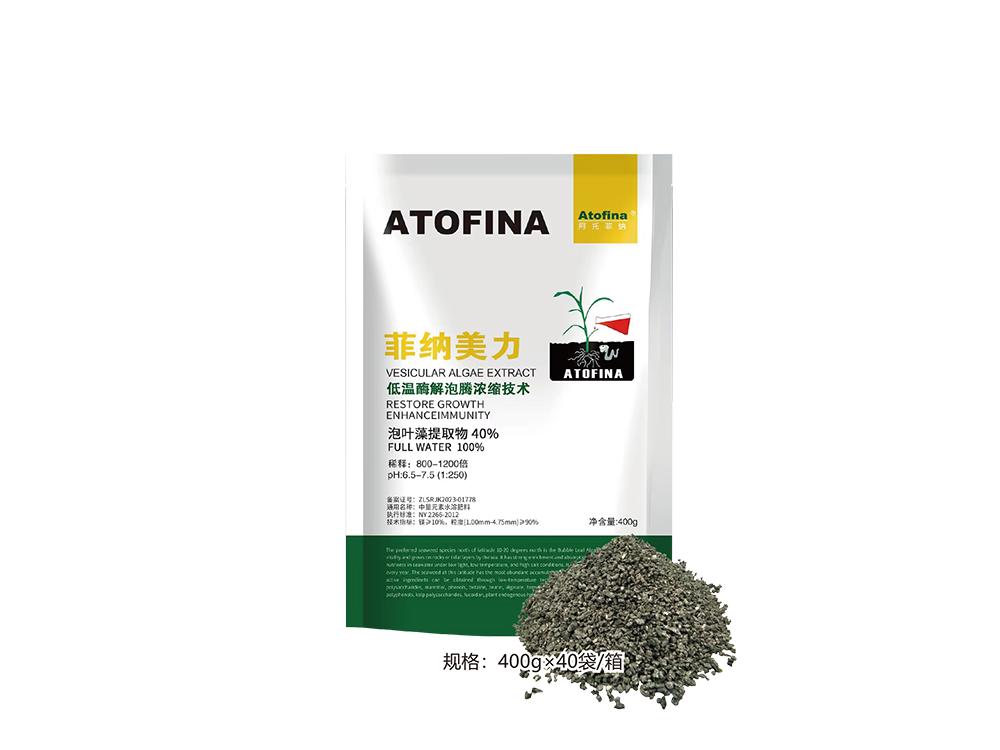 菲纳美力400g